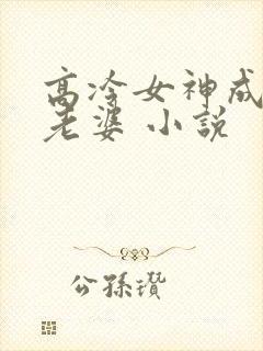 高冷女神成了我老婆 小说
