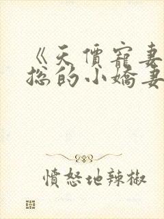 《天价宠妻:霍总的小娇妻》