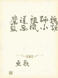 魔道祖师魏无羡蓝忘机小说全文免费