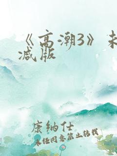《高潮3》未删减版