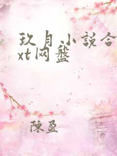 玖月小说合集txt网盘