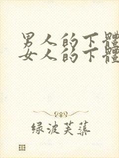 男人的下体插入女人的下体的视频