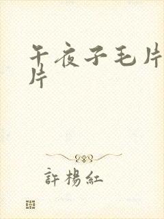 午夜子毛片试看片