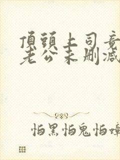 顶头上司竟是我老公未删减