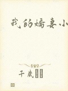 我的娇妻小说