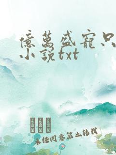 亿万盛宠只为你小说txt