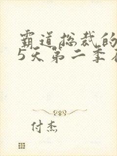 霸道总裁的365天第二季在线观看