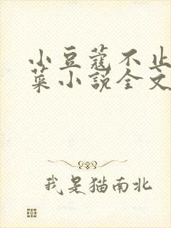 小豆蔻不止是颗菜小说全文免费阅读免费