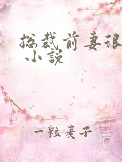 总裁前妻很抢手 小说