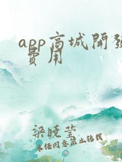 app商城开发 费用