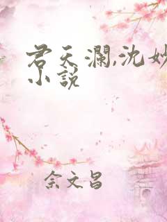 君天澜,沈妙言小说