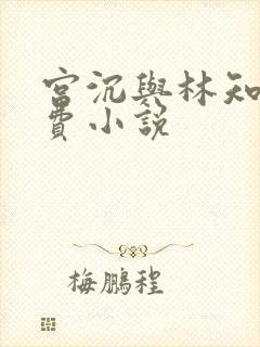 宫沉与林知意免费小说