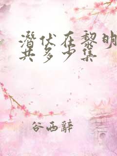 潜伏在黎明之前共多少集