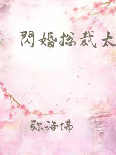 闪婚总裁太深情