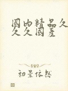 国内精品久久久久久国产