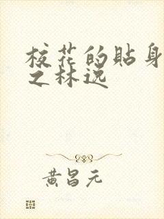 校花的贴身高手之林逸