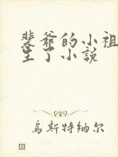 裴爷的小祖宗重生了小说