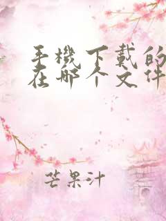 手机下载的文件在哪个文件夹