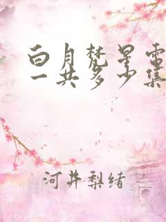 白月梵星电视剧一共多少集