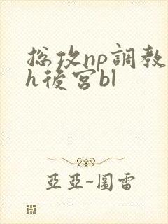 总攻np调教高h后宫bl