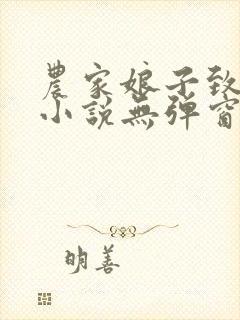 农家娘子致富记小说无弹窗