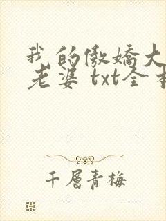 我的傲娇大小姐老婆 txt全本