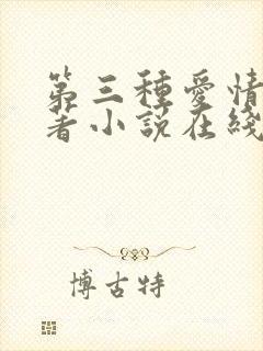 第三种爱情 原著小说在线阅读