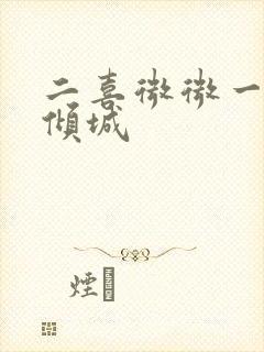 二喜微微一笑很倾城