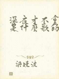 深夜才不会寂寞是什么歌的歌词