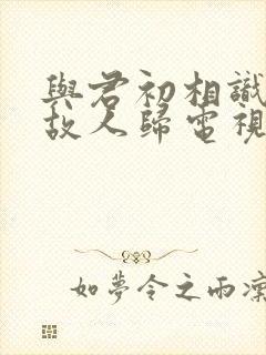 与君初相识犹如故人归电视剧免费观看