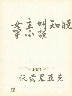 女主叫知晓的快穿小说