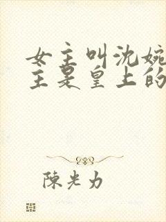 女主叫沈婉,男主是皇上的小说