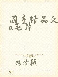 国产精品久久久a毛片