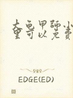 大龟甲师小说哪里可以免费阅读