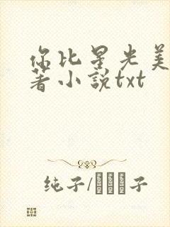你比星光美丽原著小说txt