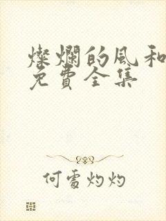 灿烂的风和海 免费全集