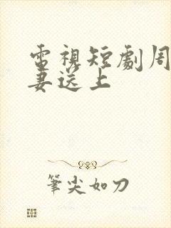 电视短剧周少宠妻送上