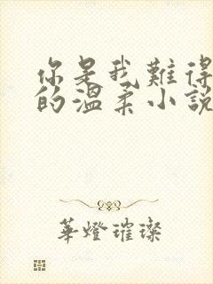 你是我难得一见的温柔小说免费阅读