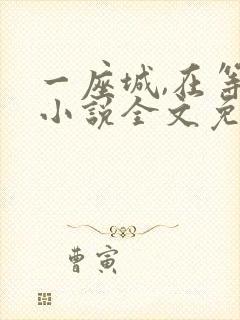 一座城,在等你小说全文免费阅读