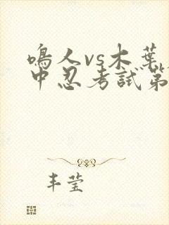 鸣人vs木叶丸中忍考试第几集