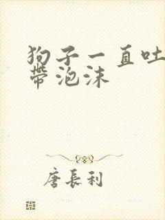 狗子一直吐黄水带泡沫