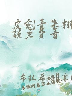 皮剑青朱栩诺小说免费看