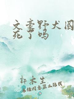 文豪野犬国木田死了吗