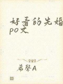 好看的先婚后爱po文
