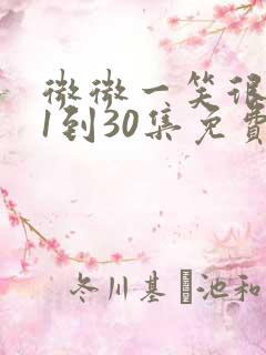 微微一笑很倾城1到30集免费