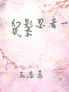 幻影忍者一共有几季