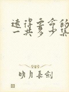 远得要命的爱情一共多少集