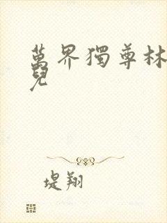 万界独尊林枫女儿