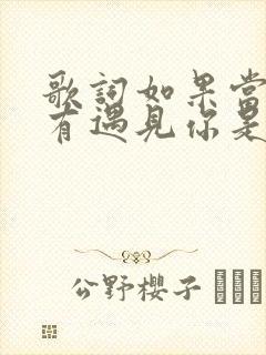 歌词如果当初没有遇见你是什么歌