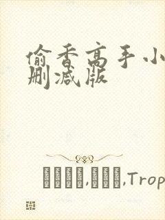 偷香高手小说无删减版